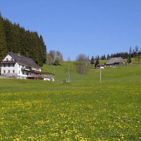 Gasthaus Pension Donishausle Titisee-Neustadt Buitenkant foto